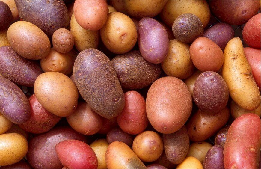 Kartoffeln sind basenbildend, Vitamin- und Mineralstoffreich und sättigen.